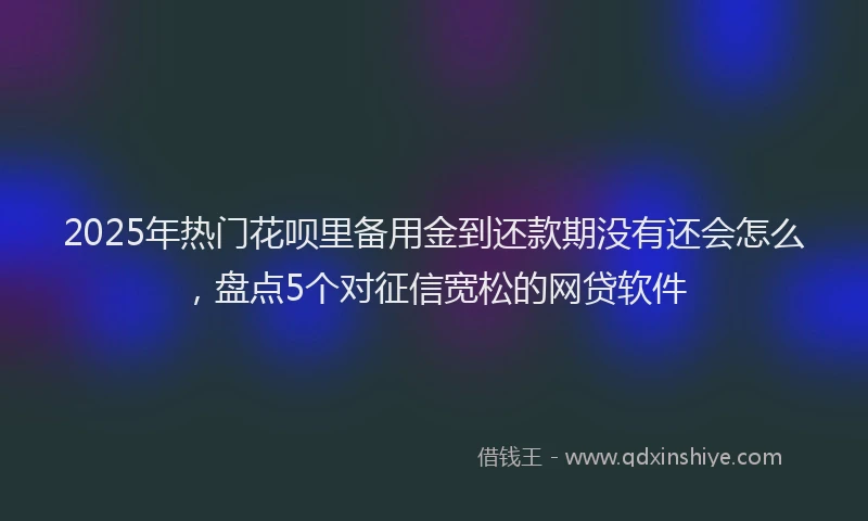 2025年热门花呗里备用金到还款期没有还会怎么，盘点5个对征信宽松的网贷软件