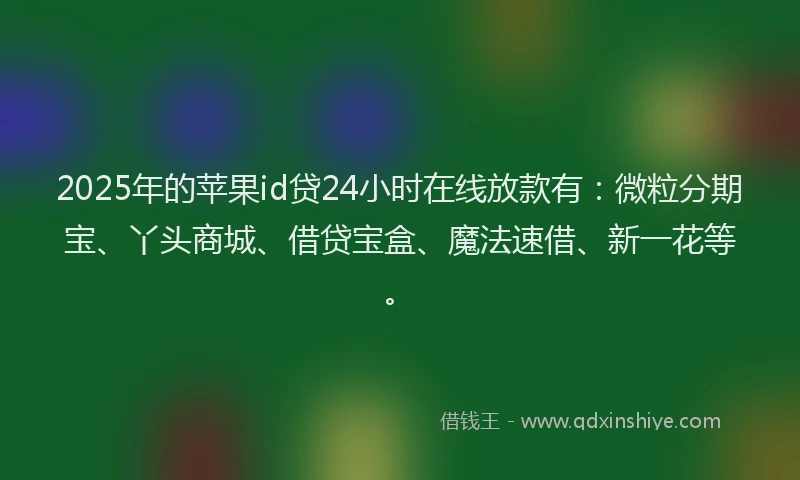 2025年的苹果id贷24小时在线放款有：微粒分期宝、丫头商城、借贷宝盒、魔法速借、新一花等。