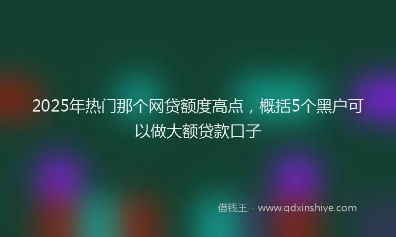 2025年热门那个网贷额度高点，概括5个黑户可以做大额贷款口子