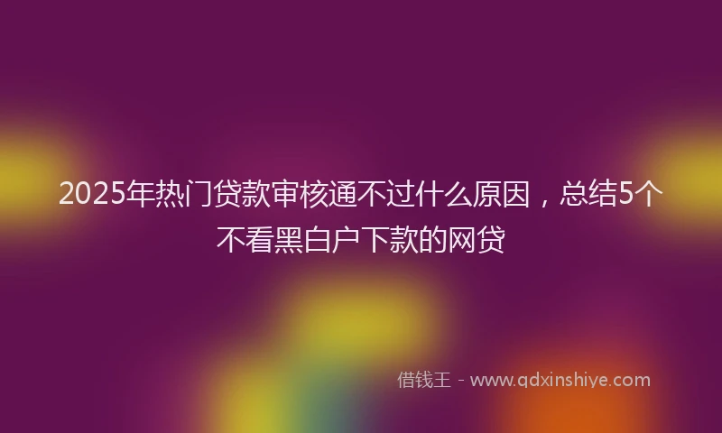 2025年热门贷款审核通不过什么原因,总结5个不看黑白户下款的网贷