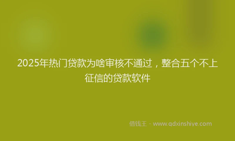 2025年热门贷款为啥审核不通过，整合五个不上征信的贷款软件