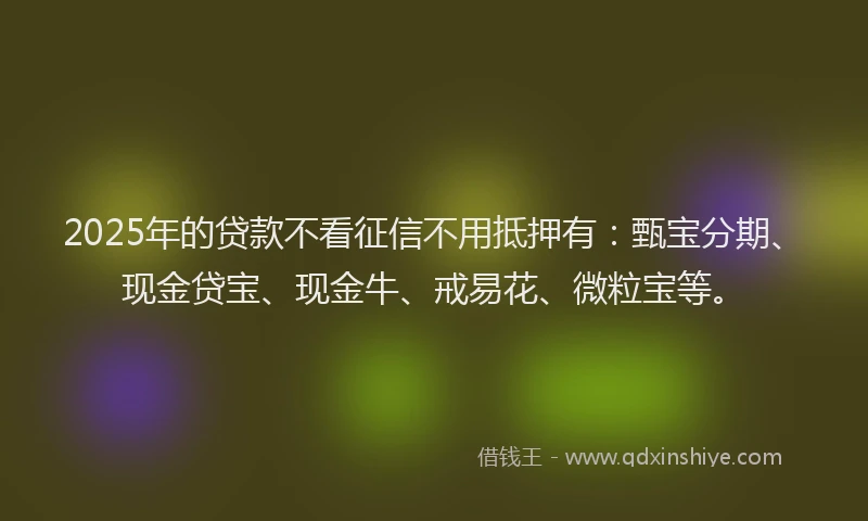 2025年的贷款不看征信不用抵押有:甄宝分期、现金贷宝、现金牛、戒易花、微粒宝等。