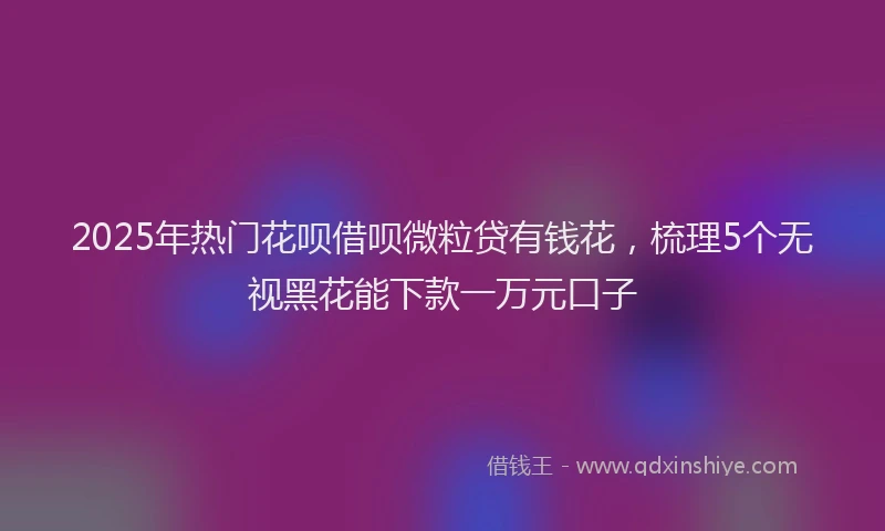 2025年热门花呗借呗微粒贷有钱花,梳理5个无视黑花能下款一万元口子
