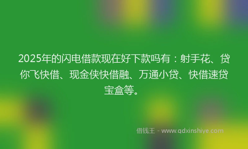 2025年的闪电借款现在好下款吗有：射手花、贷你飞快借、现金侠快借融、万通小贷、快借速贷宝盒等。