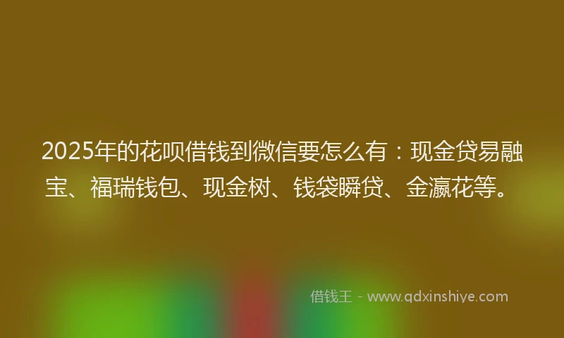 2025年的花呗借钱到微信要怎么有:现金贷易融宝、福瑞钱包、现金树、钱袋瞬贷、金瀛花等。