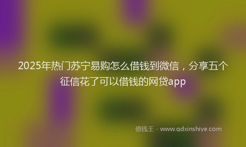 2025年热门苏宁易购怎么借钱到微信，分享五个征信花了可以借钱的网贷app