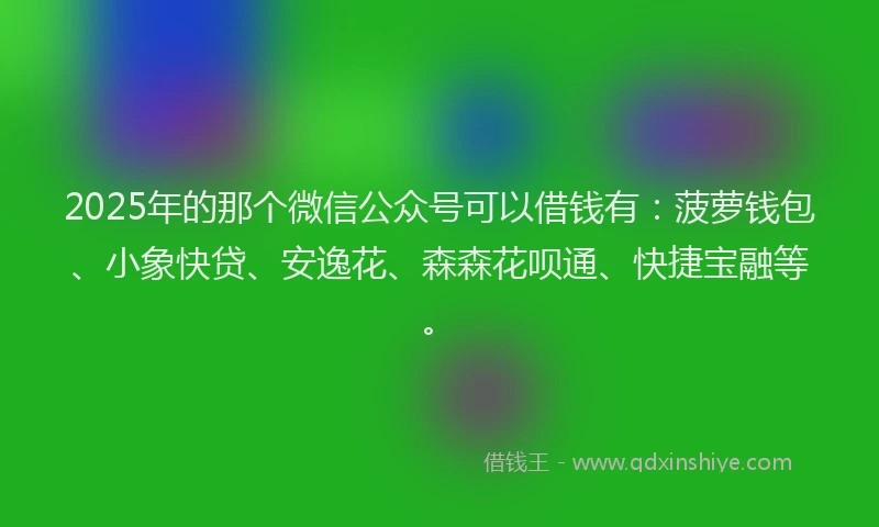 2025年的那个微信公众号可以借钱有：菠萝钱包、小象快贷、安逸花、森森花呗通、快捷宝融等。