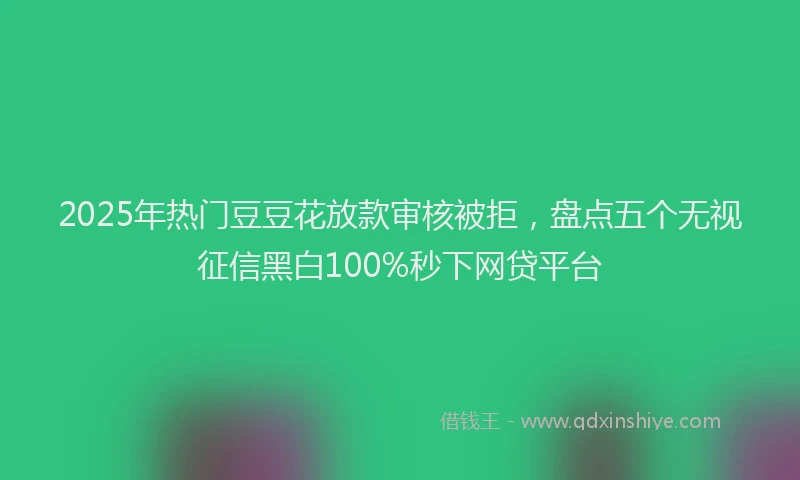 2025年热门豆豆花放款审核被拒，盘点五个无视征信黑白100%秒下网贷平台