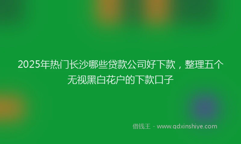 2025年热门长沙哪些贷款公司好下款,整理五个无视黑白花户的下款口子