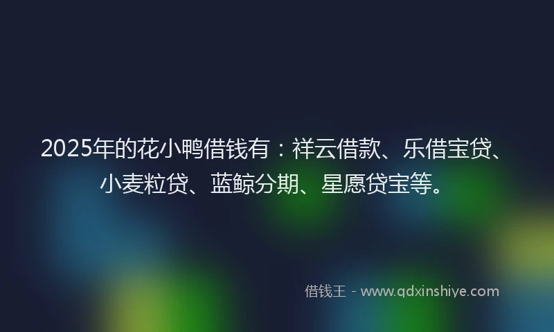 2025年的花小鸭借钱有：祥云借款、乐借宝贷、小麦粒贷、蓝鲸分期、星愿贷宝等。