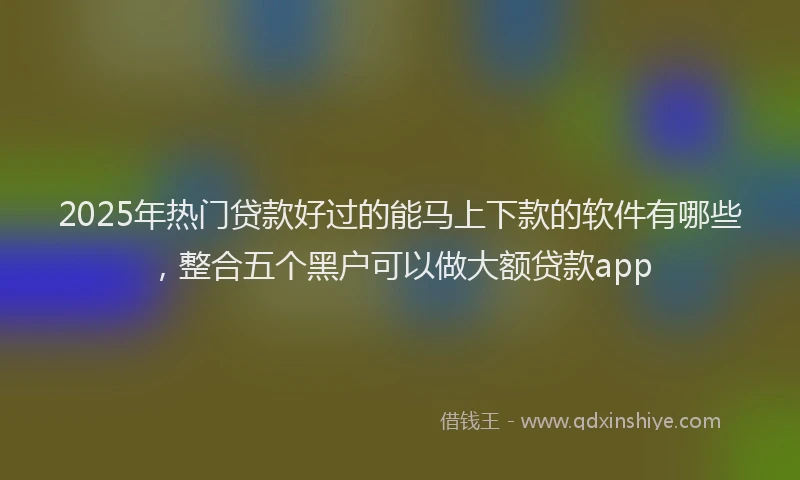 2025年热门贷款好过的能马上下款的软件有哪些,整合五个黑户可以做大额贷款app