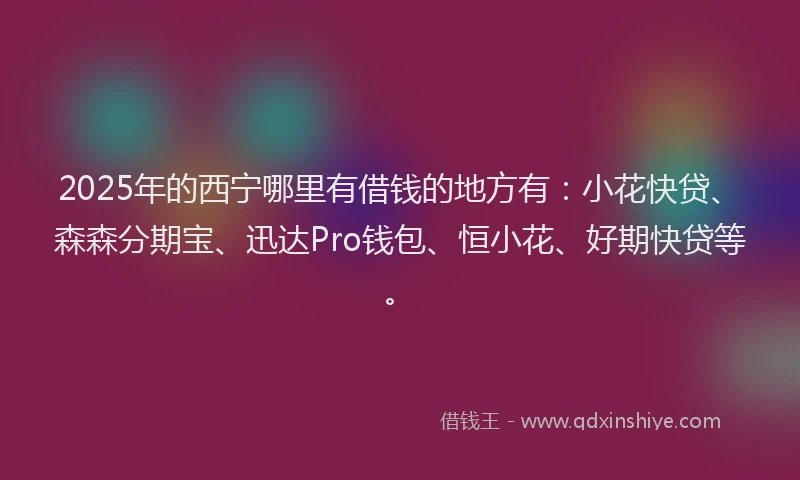 2025年的西宁哪里有借钱的地方有：小花快贷、森森分期宝、迅达Pro钱包、恒小花、好期快贷等。