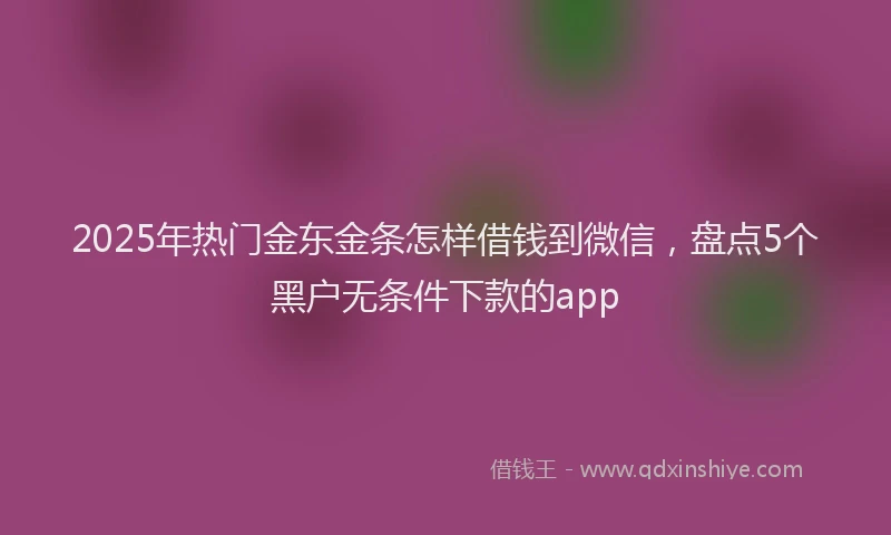 2025年热门金东金条怎样借钱到微信，盘点5个黑户无条件下款的app