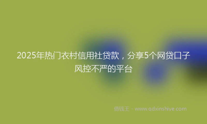 2025年热门衣村信用社贷款，分享5个网贷口子风控不严的平台