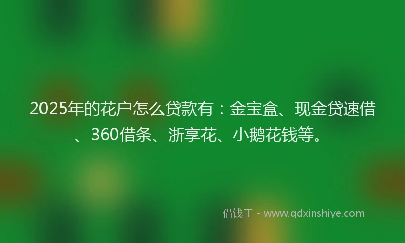 2025年的花户怎么贷款有:金宝盒、现金贷速借、360借条、浙享花、小鹅花钱等。