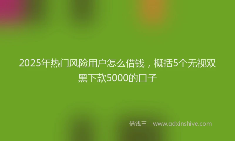 2025年热门风险用户怎么借钱，概括5个无视双黑下款5000的口子