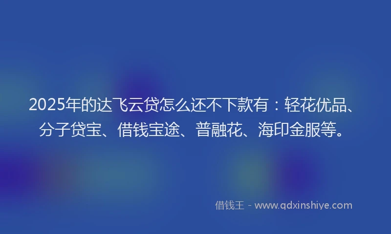 2025年的达飞云贷怎么还不下款有:轻花优品、分子贷宝、借钱宝途、普融花、海印金服等。
