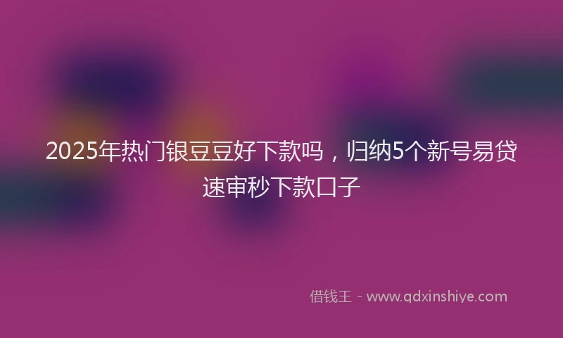 2025年热门银豆豆好下款吗，归纳5个新号易贷速审秒下款口子