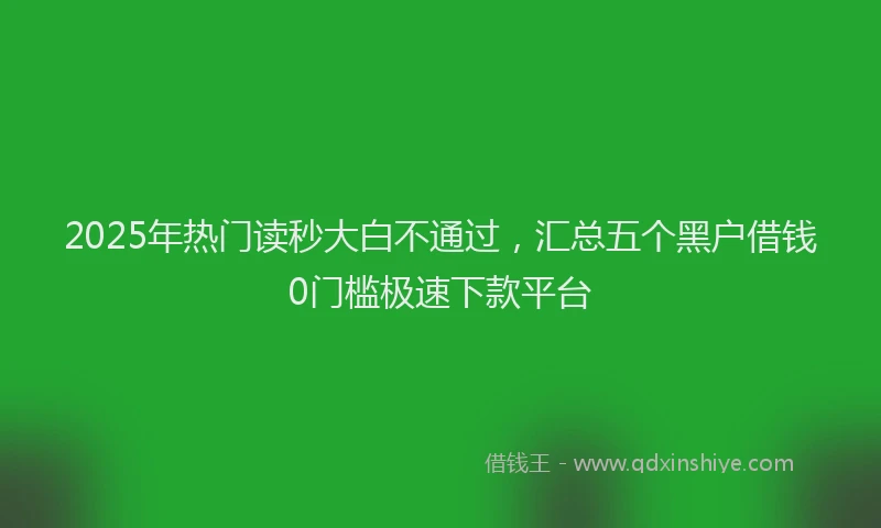 2025年热门读秒大白不通过，汇总五个黑户借钱0门槛极速下款平台