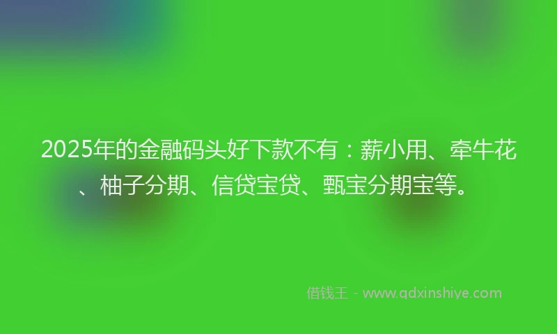 2025年的金融码头好下款不有:薪小用、牵牛花、柚子分期、信贷宝贷、甄宝分期宝等。