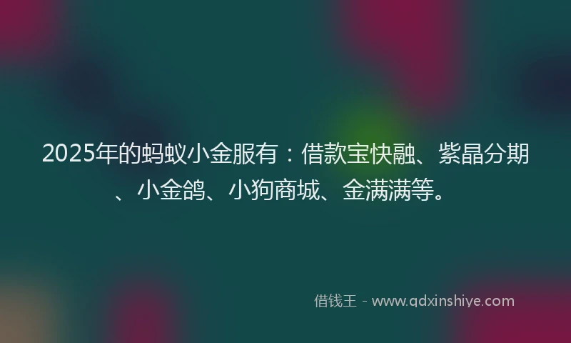 2025年的蚂蚁小金服有：借款宝快融、紫晶分期、小金鸽、小狗商城、金满满等。