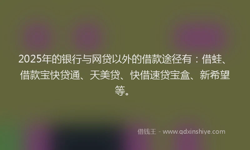 2025年的银行与网贷以外的借款途径有:借蛙、借款宝快贷通、天美贷、快借速贷宝盒、新希望等。