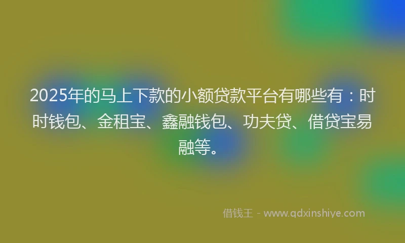 2025年的马上下款的小额贷款平台有哪些有：时时钱包、金租宝、鑫融钱包、功夫贷、借贷宝易融等。