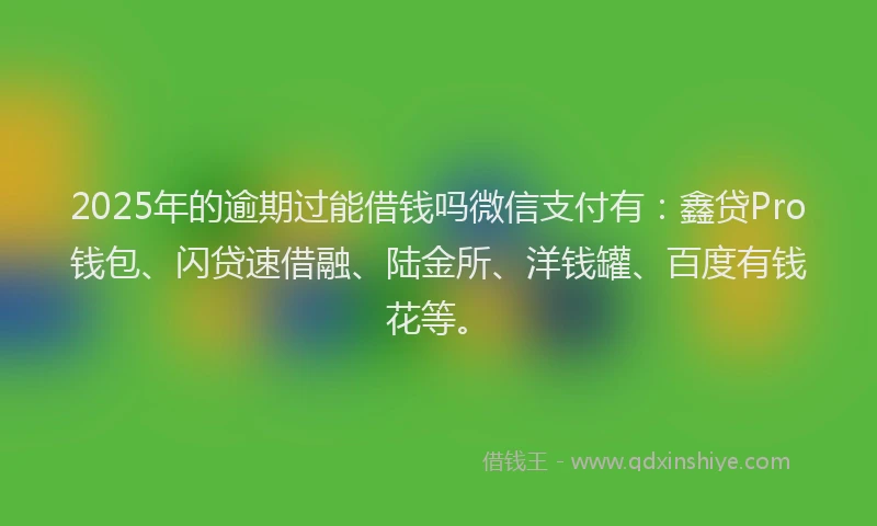 2025年的逾期过能借钱吗微信支付有:鑫贷Pro钱包、闪贷速借融、陆金所、洋钱罐、百度有钱花等。