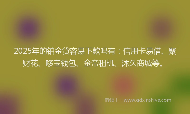 2025年的铂金贷容易下款吗有：信用卡易借、聚财花、哆宝钱包、金帝租机、沐久商城等。