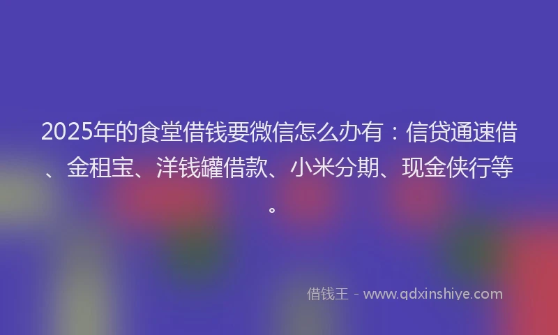 2025年的食堂借钱要微信怎么办有:信贷通速借、金租宝、洋钱罐借款、小米分期、现金侠行等。