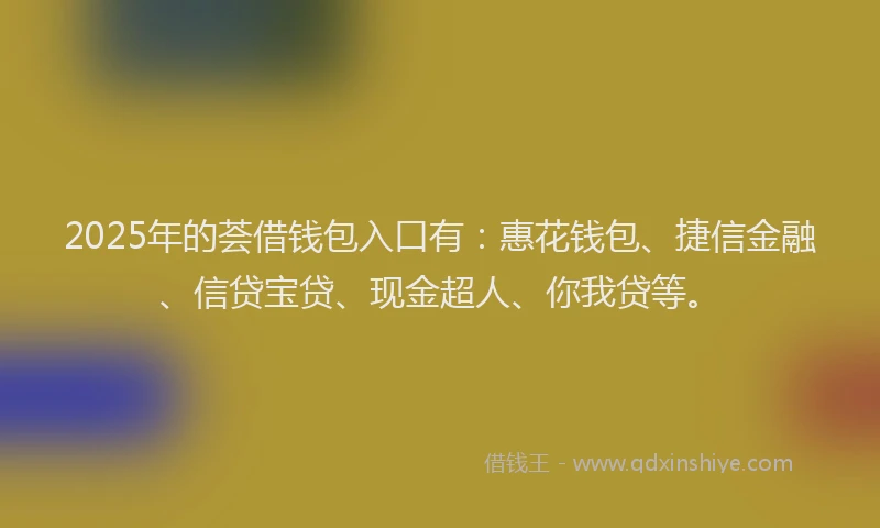 2025年的荟借钱包入口有：惠花钱包、捷信金融、信贷宝贷、现金超人、你我贷等。