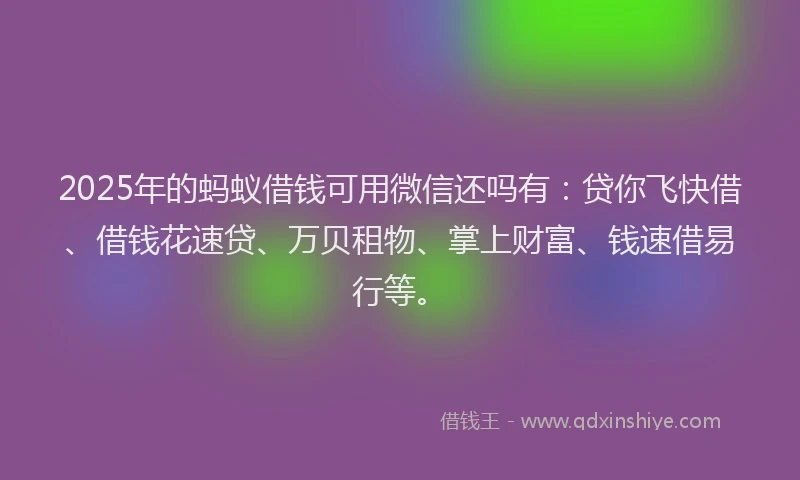 2025年的蚂蚁借钱可用微信还吗有：贷你飞快借、借钱花速贷、万贝租物、掌上财富、钱速借易行等。