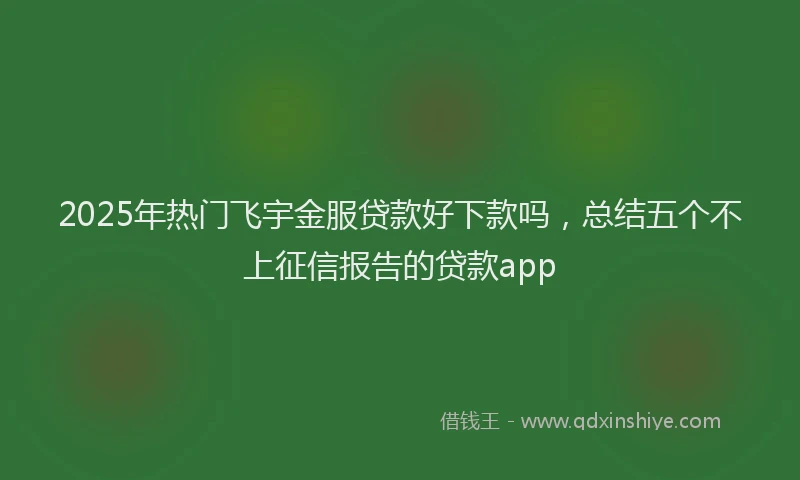 2025年热门飞宇金服贷款好下款吗，总结五个不上征信报告的贷款app