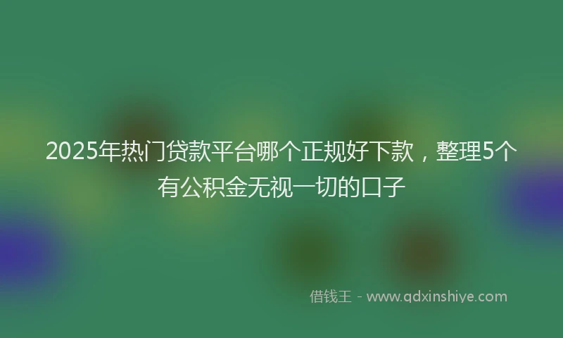 2025年热门贷款平台哪个正规好下款,整理5个有公积金无视一切的口子