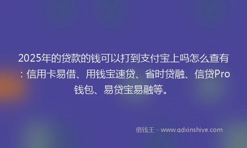 2025年的贷款的钱可以打到支付宝上吗怎么查有:信用卡易借、用钱宝速贷、省时贷融、信贷Pro钱包、易贷宝易融等。