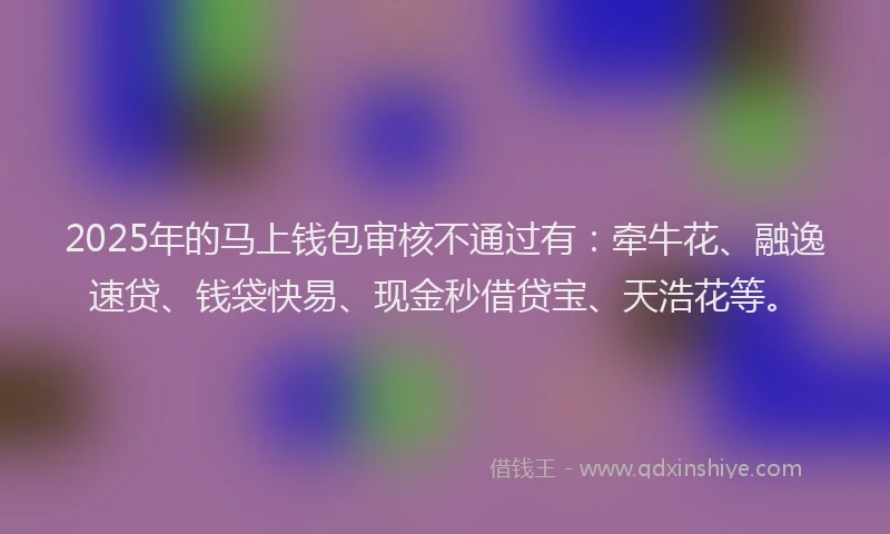 2025年的马上钱包审核不通过有：牵牛花、融逸速贷、钱袋快易、现金秒借贷宝、天浩花等。