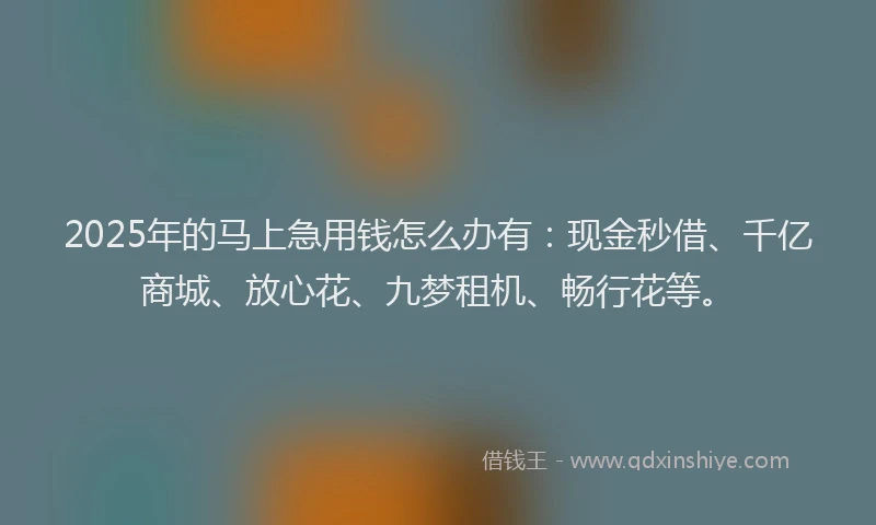 2025年的马上急用钱怎么办有：现金秒借、千亿商城、放心花、九梦租机、畅行花等。