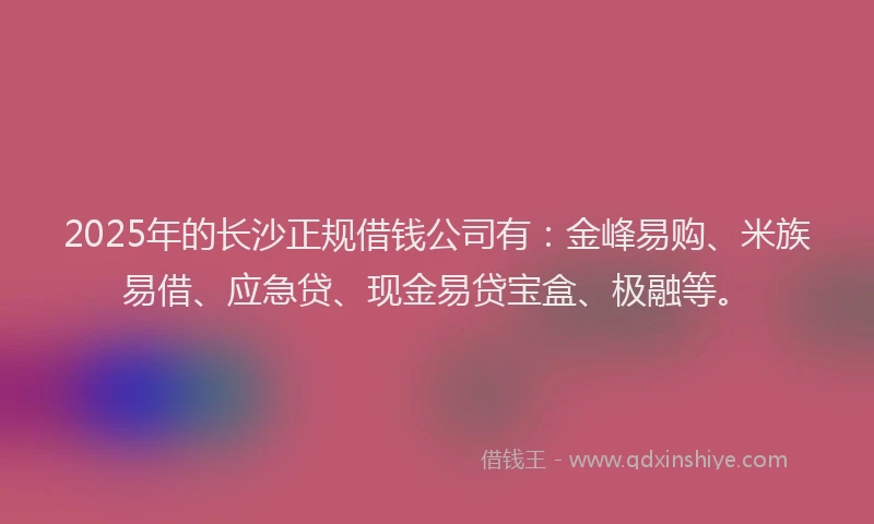 2025年的长沙正规借钱公司有:金峰易购、米族易借、应急贷、现金易贷宝盒、极融等。