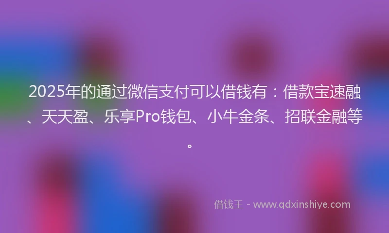 2025年的通过微信支付可以借钱有：借款宝速融、天天盈、乐享Pro钱包、小牛金条、招联金融等。