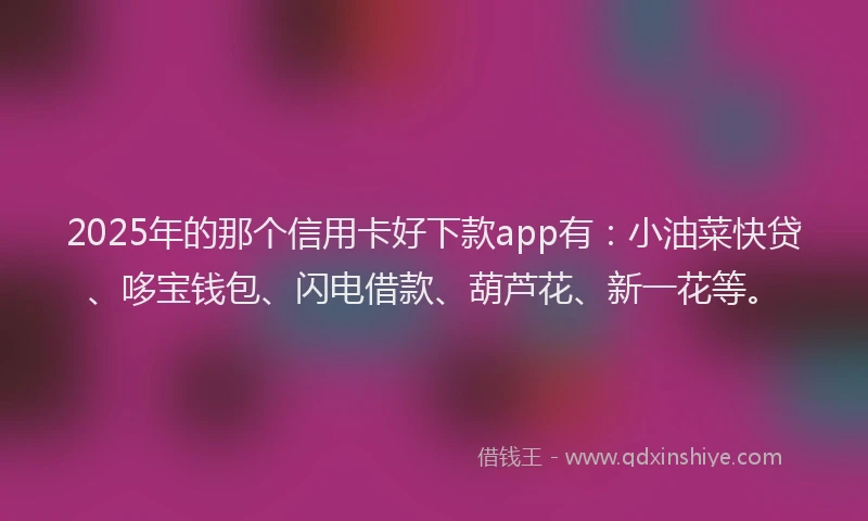 2025年的那个信用卡好下款app有：小油菜快贷、哆宝钱包、闪电借款、葫芦花、新一花等。
