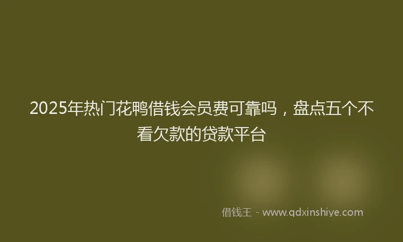 2025年热门花鸭借钱会员费可靠吗,盘点五个不看欠款的贷款平台