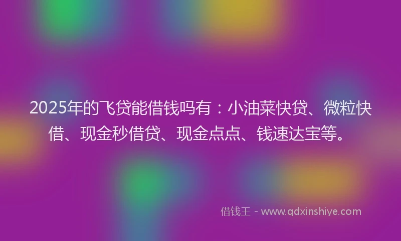 2025年的飞贷能借钱吗有:小油菜快贷、微粒快借、现金秒借贷、现金点点、钱速达宝等。