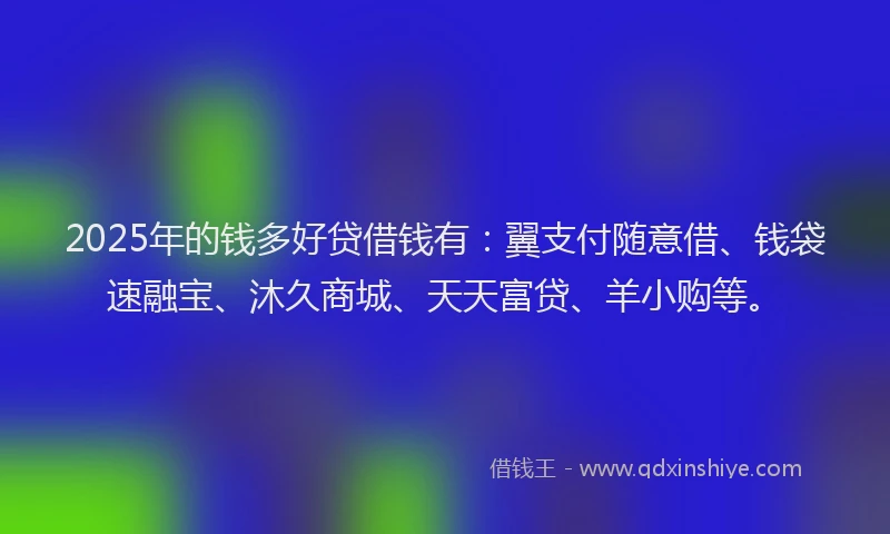 2025年的钱多好贷借钱有：翼支付随意借、钱袋速融宝、沐久商城、天天富贷、羊小购等。
