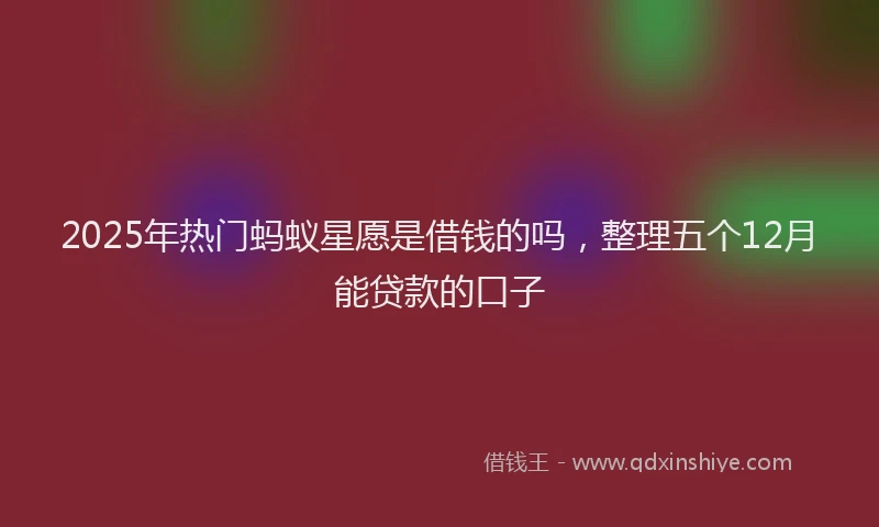 2025年热门蚂蚁星愿是借钱的吗，整理五个12月能贷款的口子