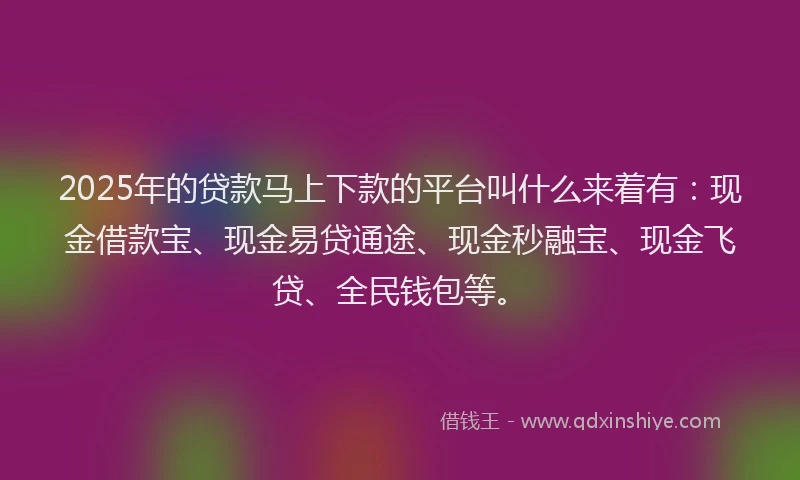 2025年的贷款马上下款的平台叫什么来着有:现金借款宝、现金易贷通途、现金秒融宝、现金飞贷、全民钱包等。