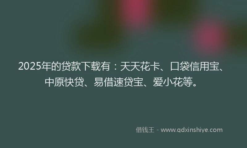 2025年的贷款下载有:天天花卡、口袋信用宝、中原快贷、易借速贷宝、爱小花等。