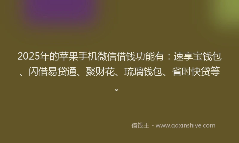 2025年的苹果手机微信借钱功能有：速享宝钱包、闪借易贷通、聚财花、琉璃钱包、省时快贷等。