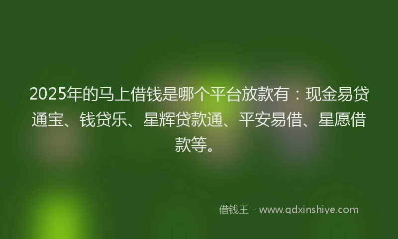 2025年的马上借钱是哪个平台放款有：现金易贷通宝、钱贷乐、星辉贷款通、平安易借、星愿借款等。
