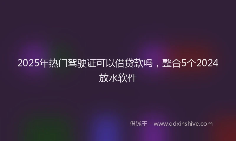 2025年热门驾驶证可以借贷款吗，整合5个2024放水软件