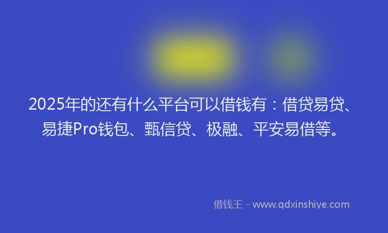 2025年的还有什么平台可以借钱有：借贷易贷、易捷Pro钱包、甄信贷、极融、平安易借等。